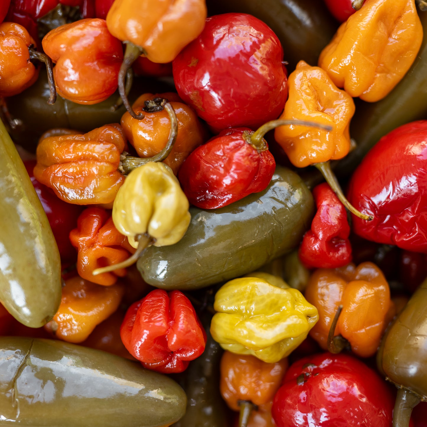 Mixed Hot Peppers