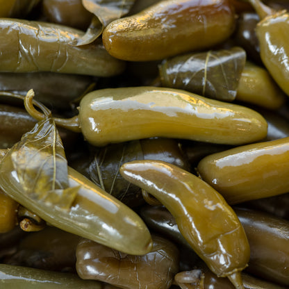 Jalapeno Peppers