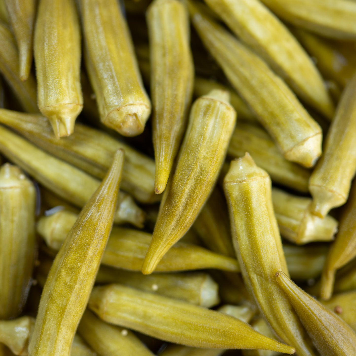 Okra