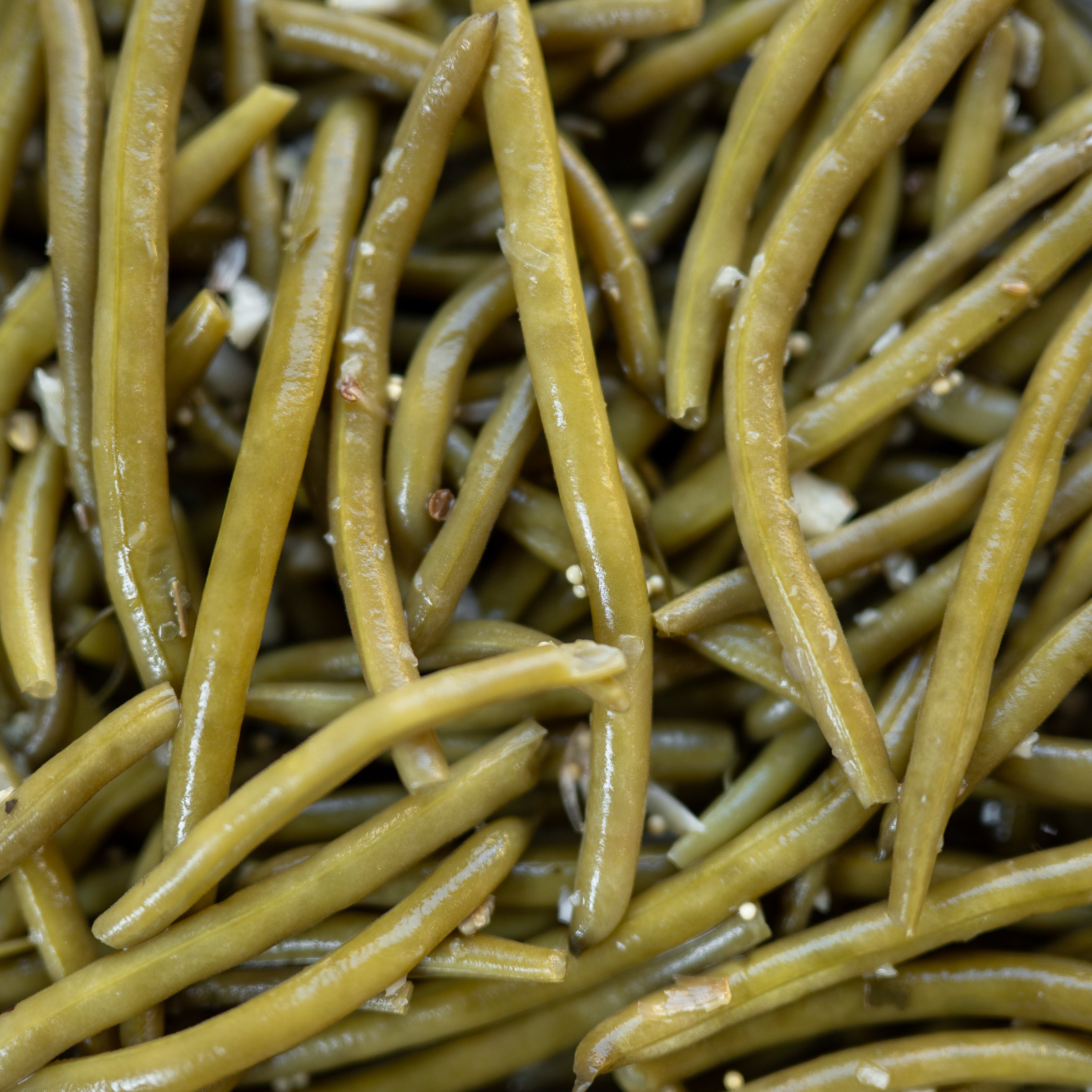 String Beans – The Pickle Guys