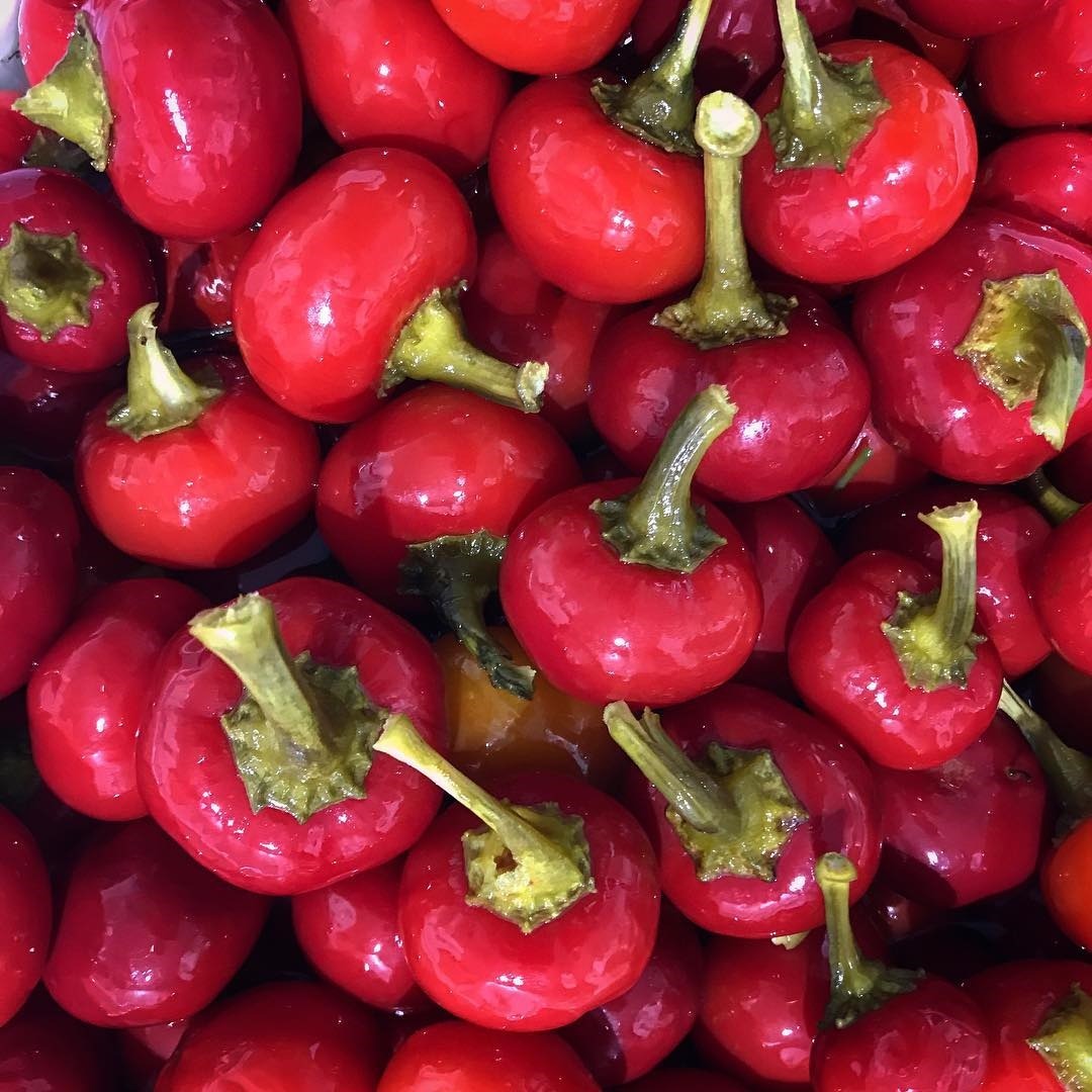 Hot Cherry Peppers Online Sales Save 68 Jlcatj Gob Mx
